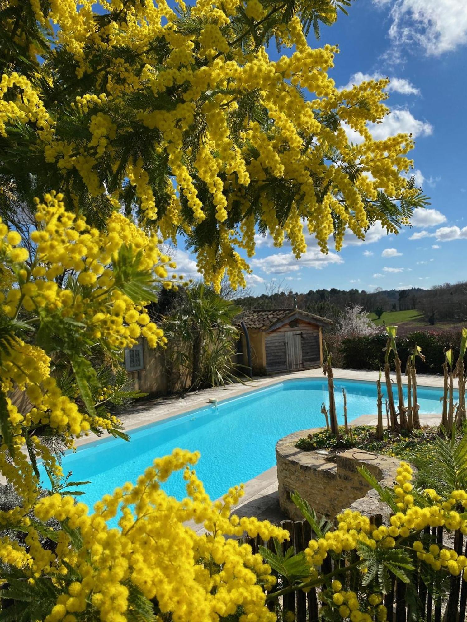 Petite Maison Peyrot Loubejac Bagian luar foto